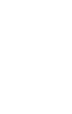 Pleiadi International